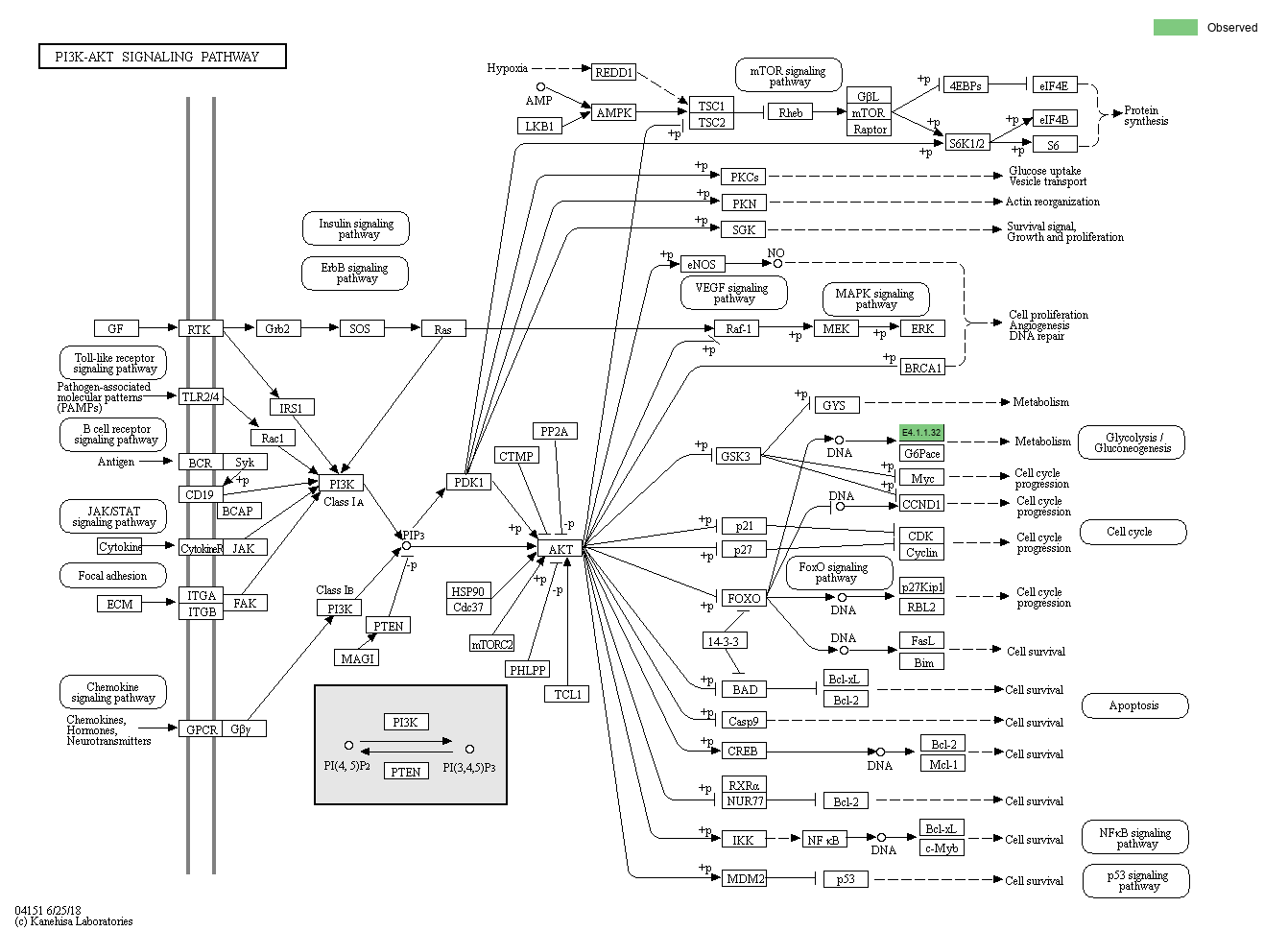 KEGG PATHWAY: PI3K-Akt signaling pathway - Reference pathway