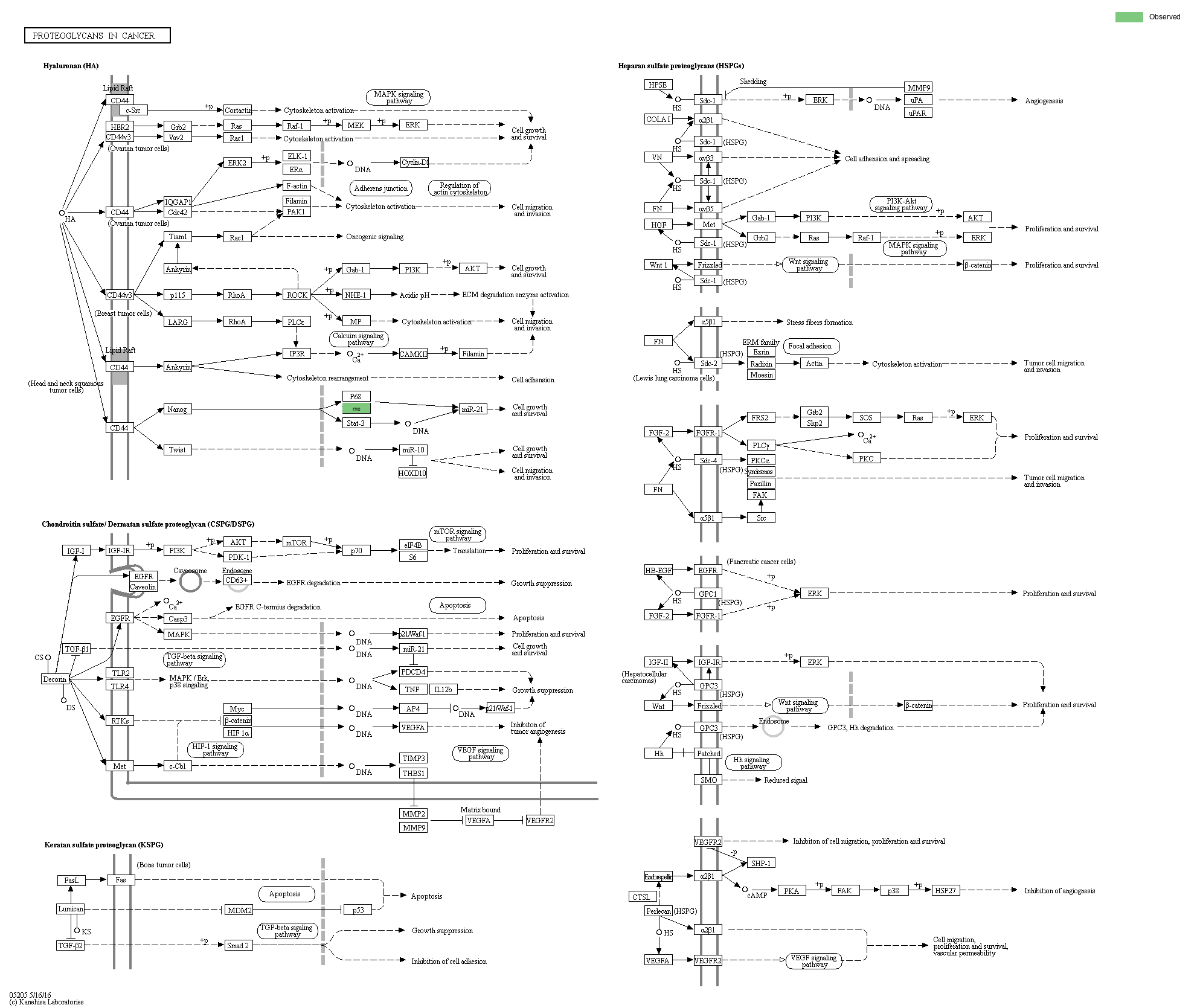 KEGG PATHWAY: Proteoglycans in cancer - Reference pathway