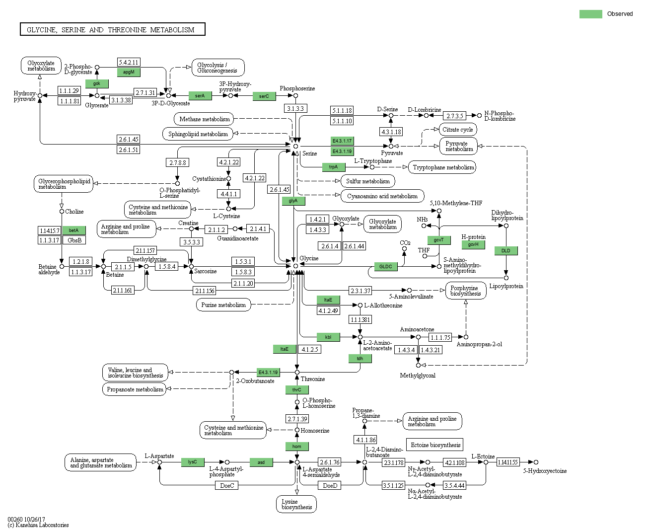 KEGG PATHWAY: Glycine, serine and threonine metabolism - Reference pathway