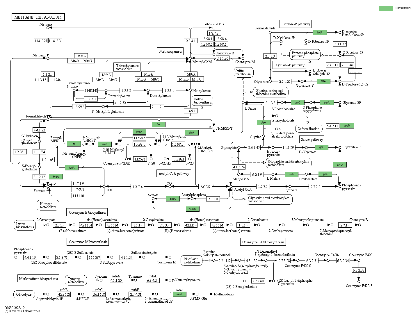 KEGG PATHWAY: Methane metabolism - Reference pathway