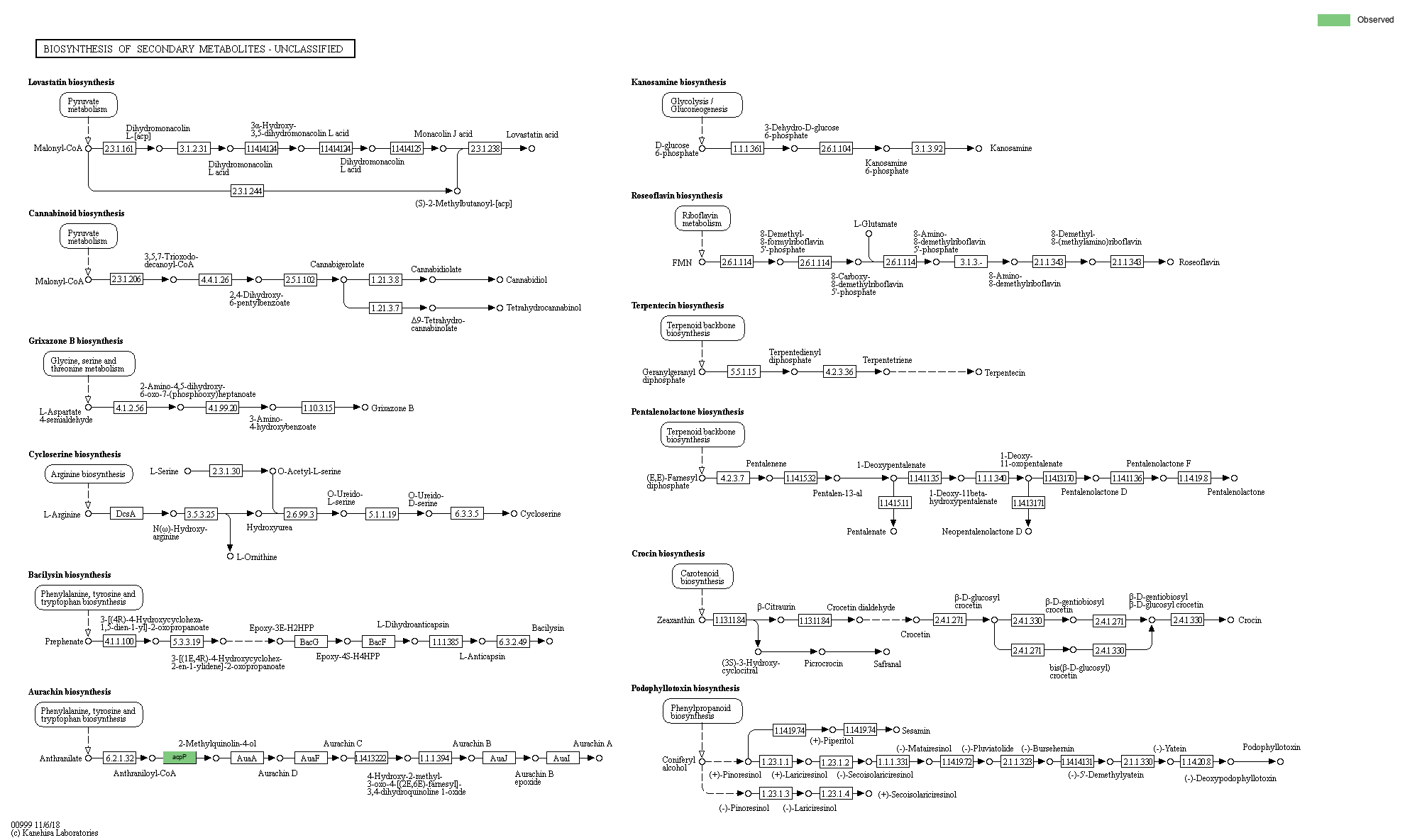 KEGG PATHWAY: Biosynthesis of secondary metabolites - unclassified ...