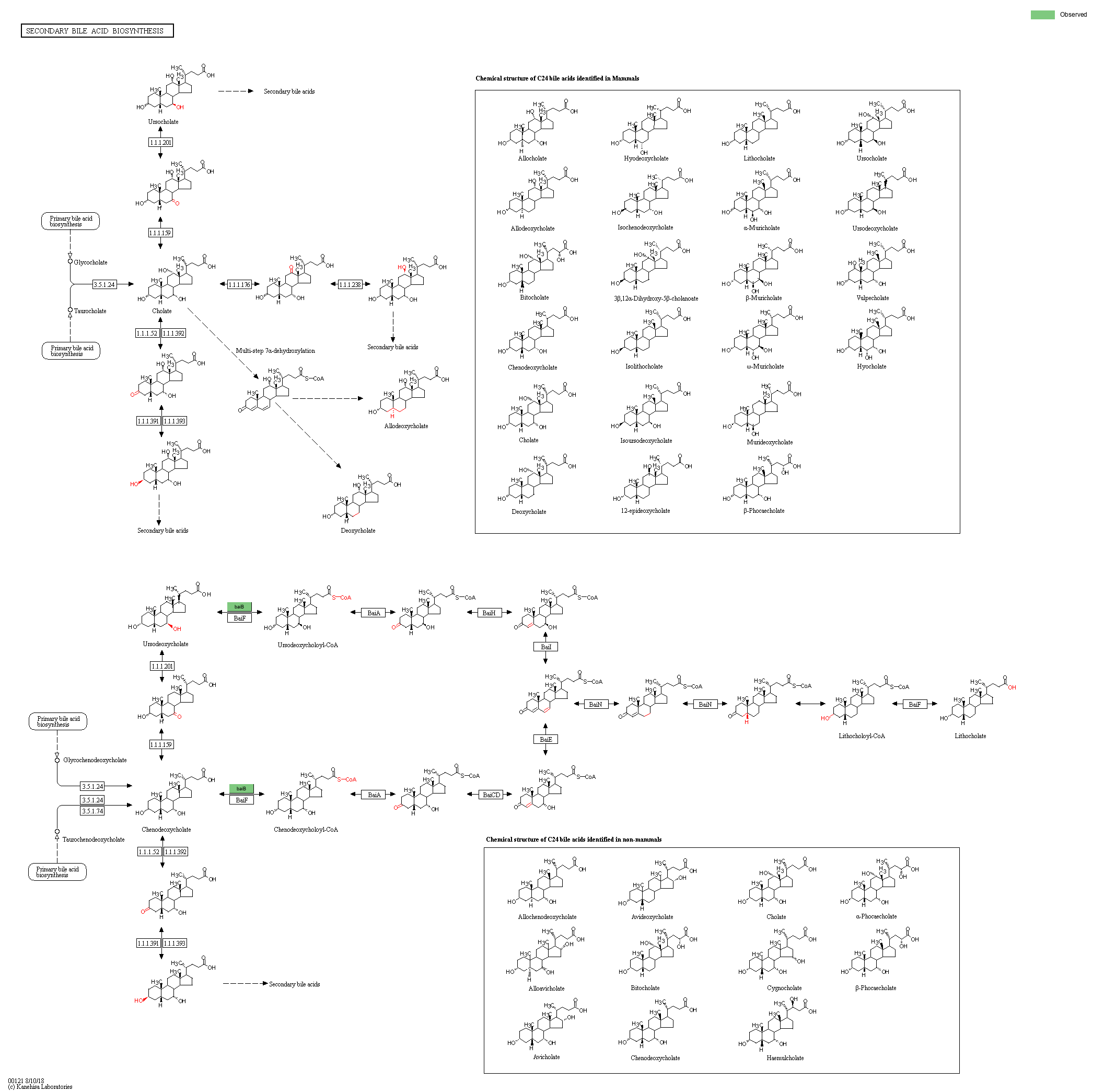 Index of /cloudir/reports/binning/04-MAG_Function/KEGG/Pathway ...