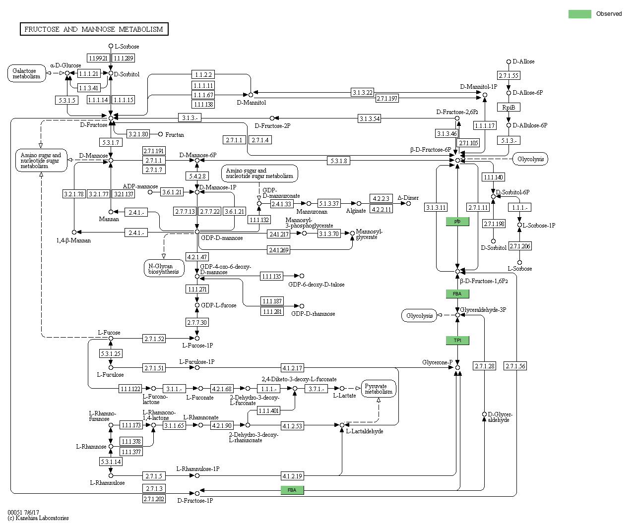 Index of /cloudir/reports/binning/04-MAG_Function/KEGG/Pathway ...
