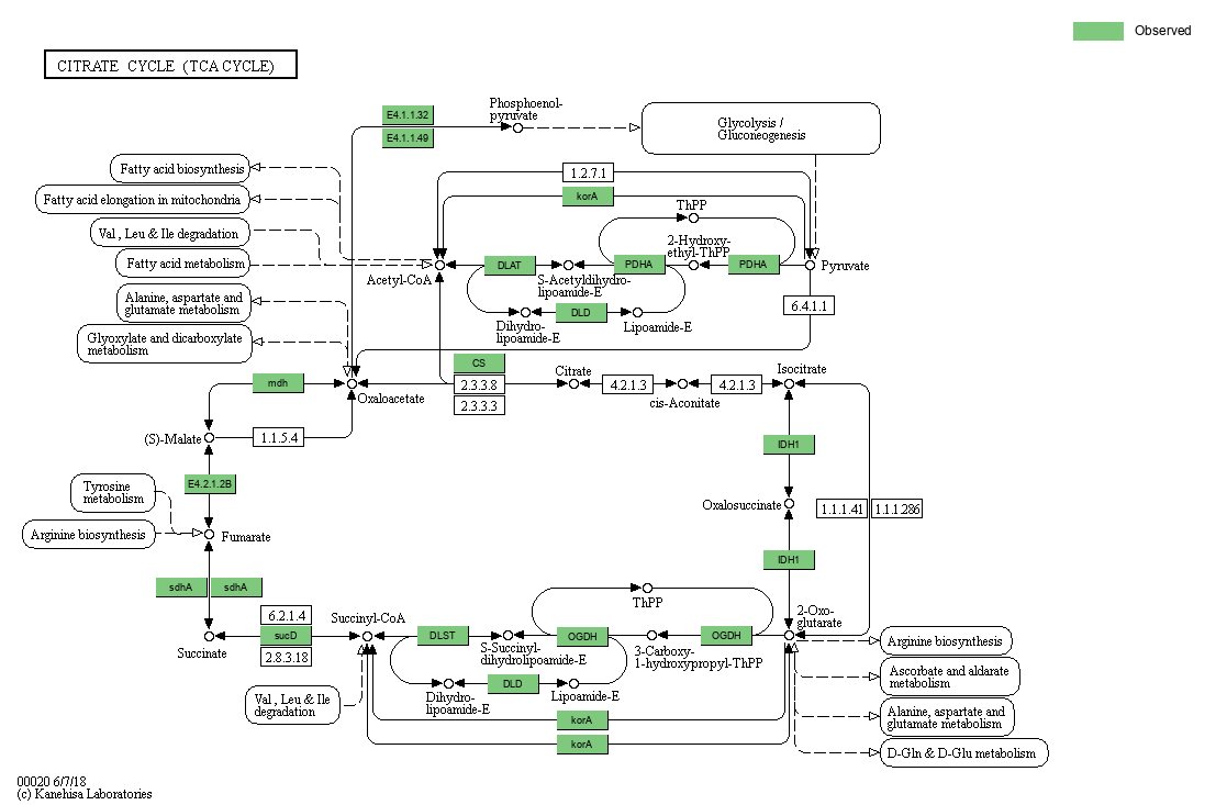 Index of /cloudir/reports/binning/04-MAG_Function/KEGG/Pathway ...