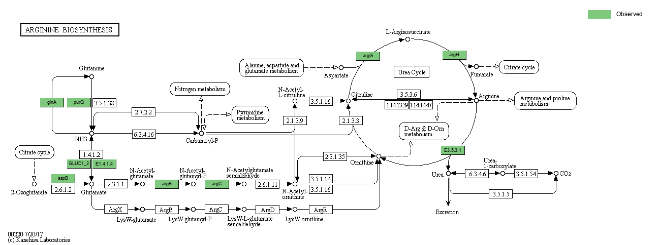 Index of /cloudir/reports/binning/04-MAG_Function/KEGG/Pathway ...