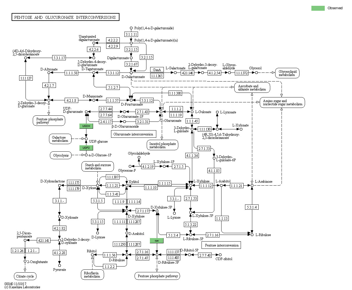 Index of /cloudir/reports/binning/04-MAG_Function/KEGG/Pathway ...