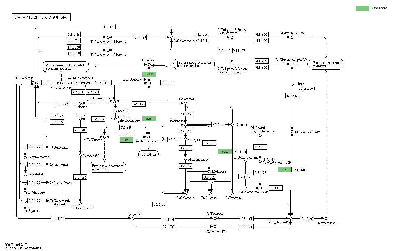 Index of /cloudir/reports/binning/04-MAG_Function/KEGG/Pathway ...