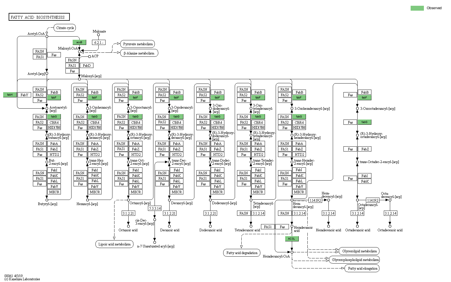 Index of /cloudir/reports/binning/04-MAG_Function/KEGG/Pathway ...
