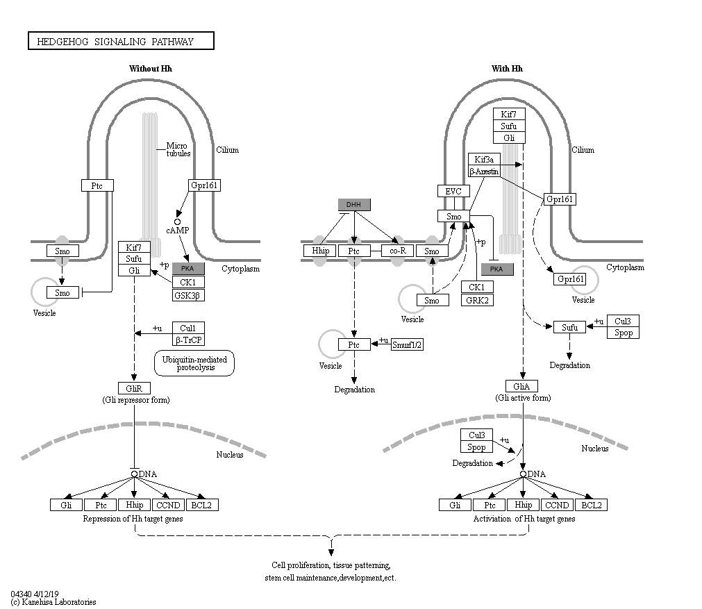 map04340.html 29Sep2021 0159 14K map04340.png 29Sep2021 0159 29K