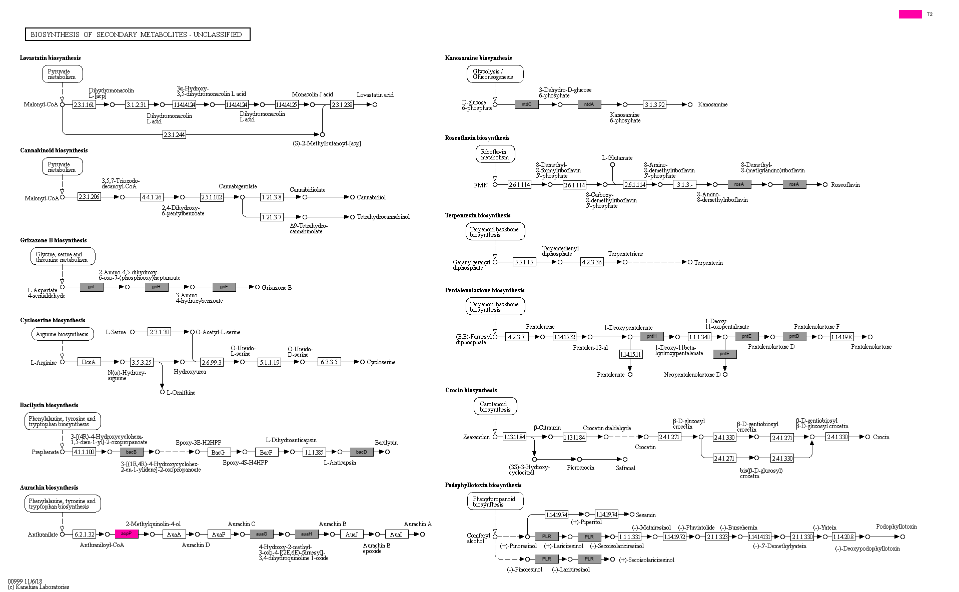 KEGG PATHWAY: Biosynthesis of secondary metabolites - unclassified ...
