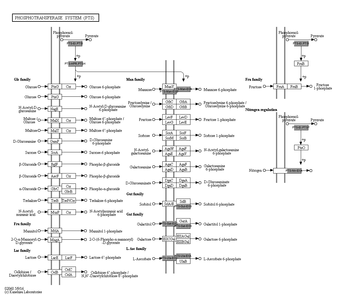 map02060.html 22-Oct-2024 19:02 33K map02060.png 22-Oct-2024 19:02 40K