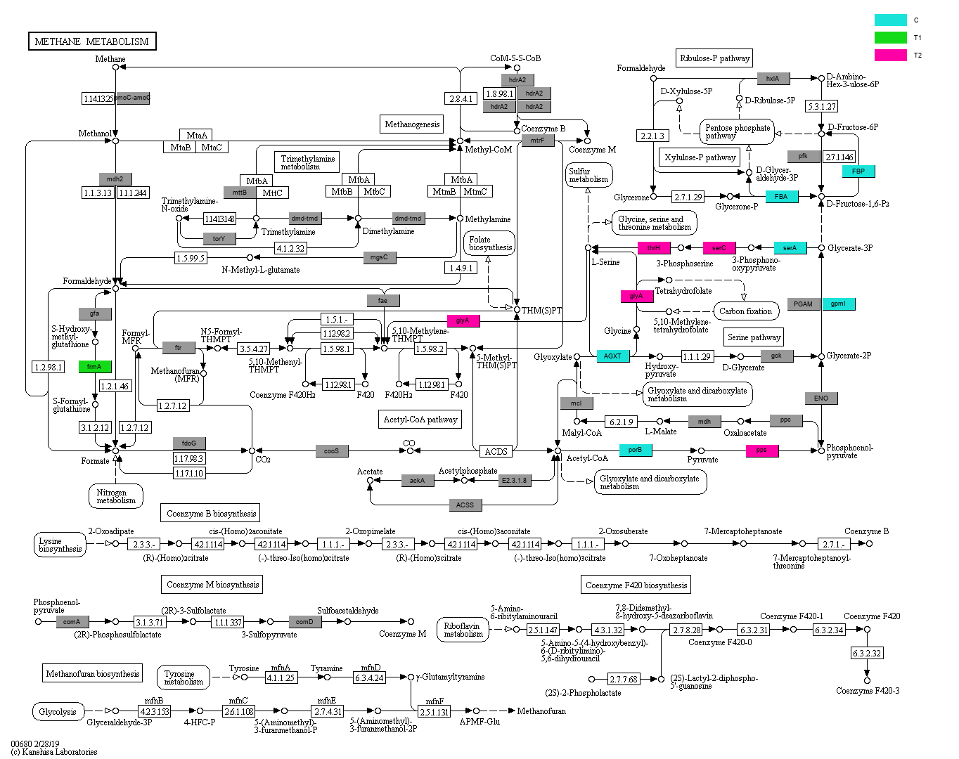 KEGG PATHWAY: Methane metabolism - Reference pathway