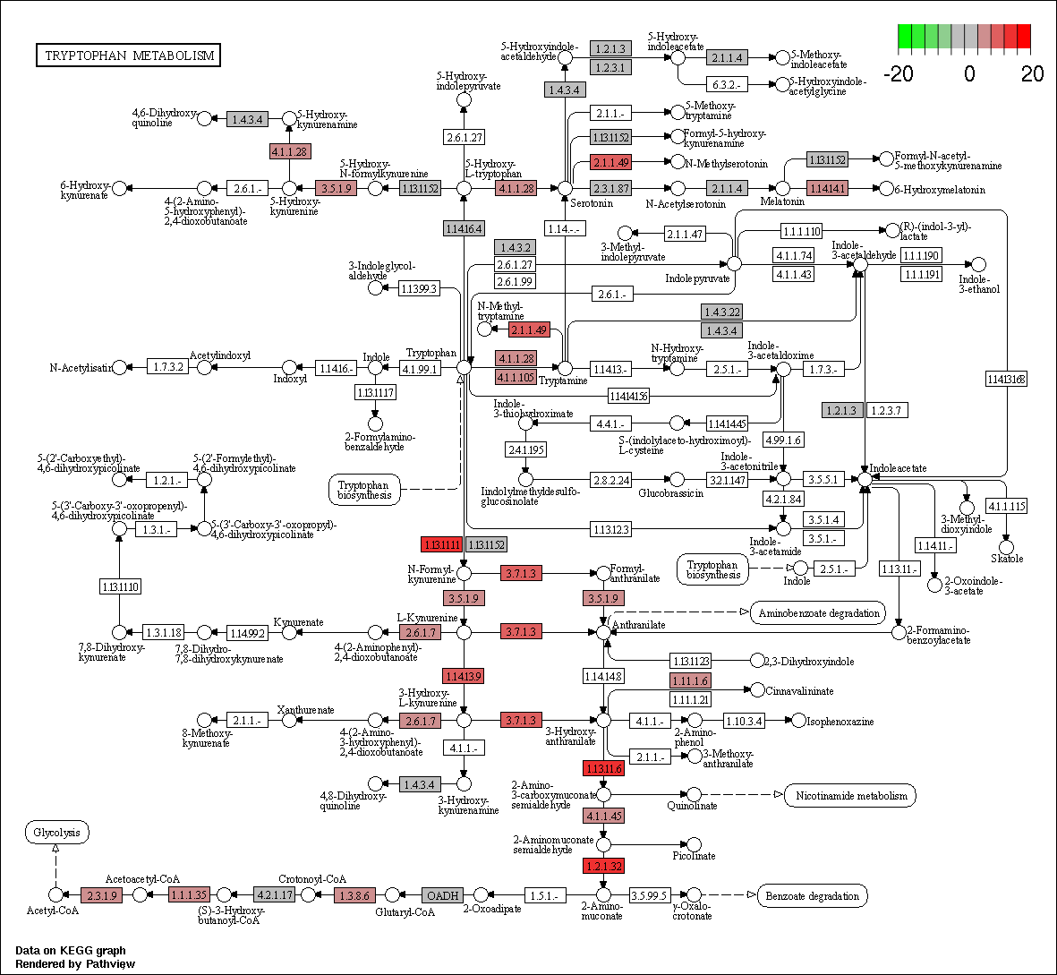 Index of /cloudir/reports/transcriptome/08.Enrich/GSEA/KEGG/Category2 ...